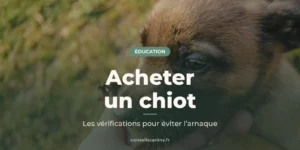 Chiot marron tenu dans la main, sous le titre « Acheter un chiot »
