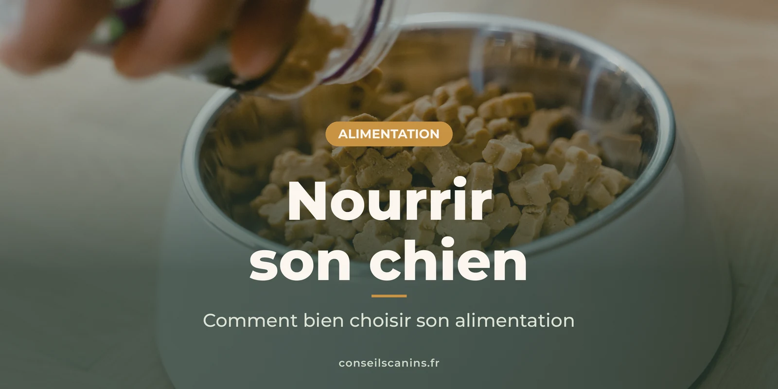 Friandises versées dans une gamelle en inox, sous le titre « Nourrir son chien »