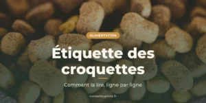 Gros plan sur des croquettes pour chien de formes et de teintes variées