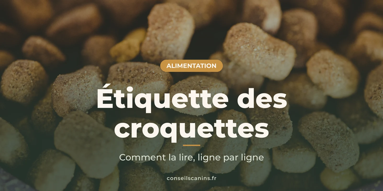 Gros plan sur des croquettes pour chien de formes et de teintes variées