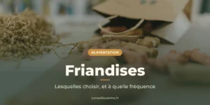 Sachet en papier renversé d'où sortent des friandises pour chien, sous le titre « Friandises »