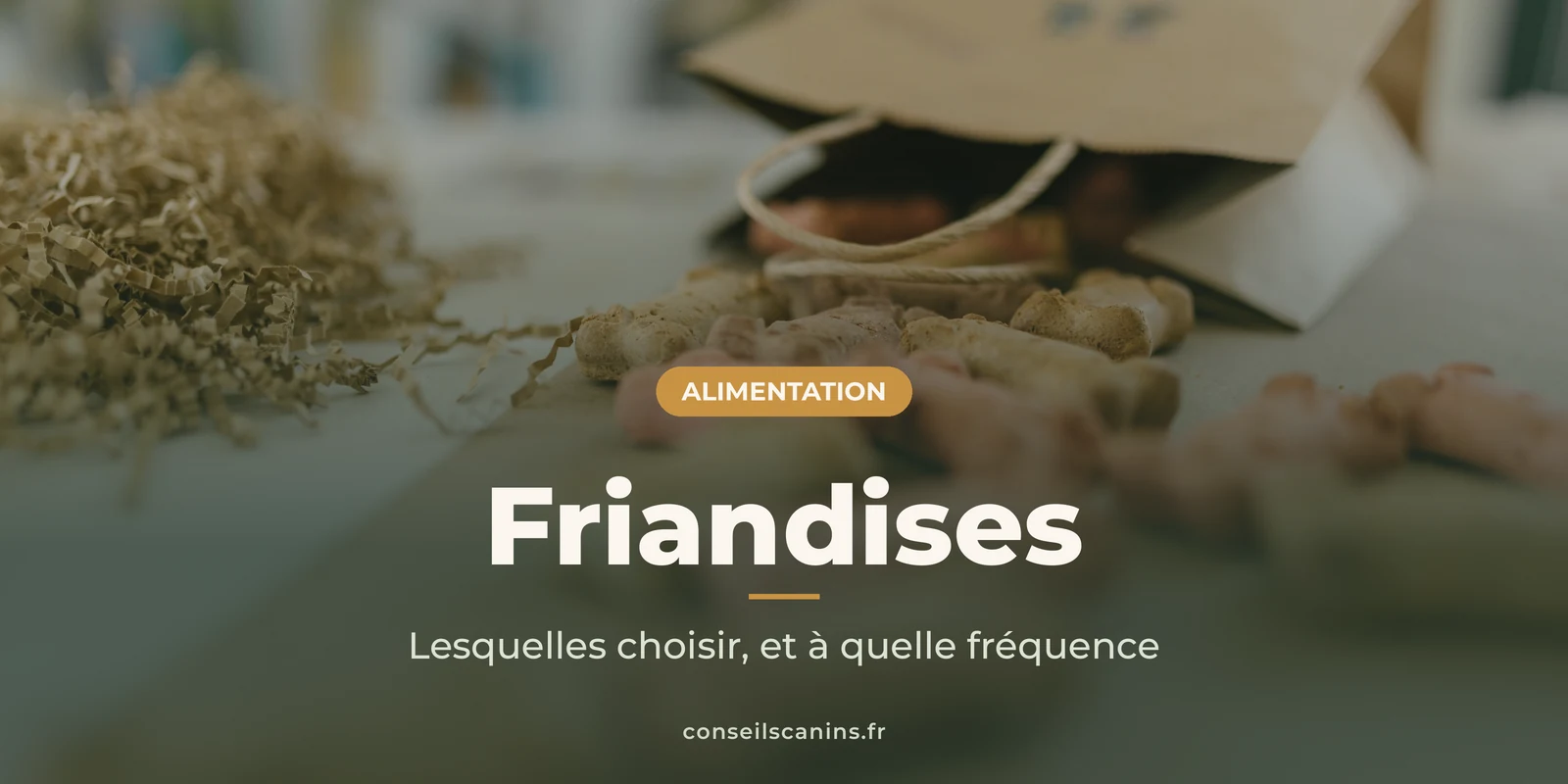 Sachet en papier renversé d'où sortent des friandises pour chien, sous le titre « Friandises »