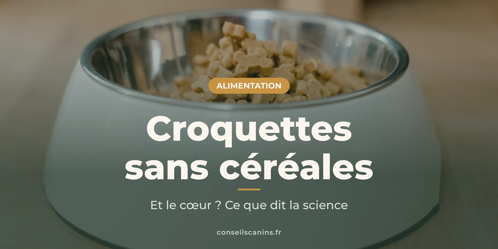 Gamelle blanche remplie de croquettes, posée sur un parquet clair
