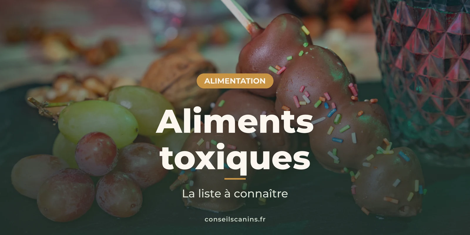 Raisins et fruits enrobés de chocolat, deux aliments toxiques pour le chien, sous le titre « Aliments toxiques »