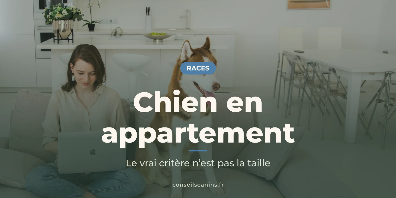 Femme sur un canapé avec son ordinateur, un husky assis près d'elle dans un salon d'appartement lumineux
